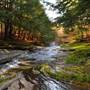 PINE CREEK, COLTON POINT STATE PARK