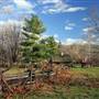 LANDIS VALLEY MUSEUM GROUNDS
