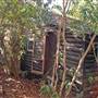 COOK FOREST STATE PARK LOG CABIN II