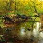 WILLIAM PENN STATE FOREST