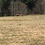FLIGHT 93 NATIONAL MEMORIAL, IMPACT SITE