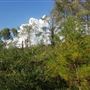 PINEY RAIL LINE, CLARION
