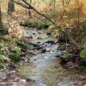KINGS GAP STATE PARK/KINGS GAP ENVIRONMENTAL EDUCATION CENTER