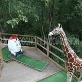 Costas Family Fun Center