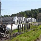 Pocono Mountain Greenhouse