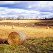 CRAWFORD COUNTY FIELDS & COUNTRYSIDE