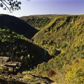 TIOGA COUNTY SCENERY