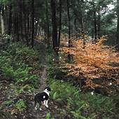 ANDERS RUN NATURAL AREA