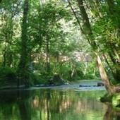 QUITTIE CREEK NATURE PARK, ANNVILLE