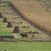LAWRENCE COUNTY SCENERY