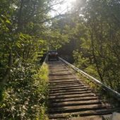 PINEY RAIL LINE TRESTLES