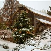 PEDDLER'S VILLAGE: WINTER
