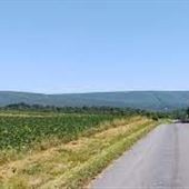 MILLMONT, UNION COUNTY