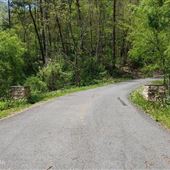 COGAN STATION, LYCOMING COUNTY