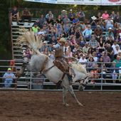 Benton Rodeo