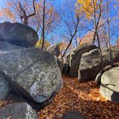 Cumberland Valley Nature Scenes