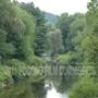 Weeping Willow Creek