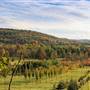 ROTHROCK STATE FOREST