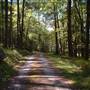 CLEAR CREEK STATE PARK