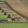 LAWRENCE COUNTY SCENERY