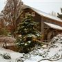 PEDDLER'S VILLAGE: WINTER