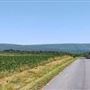 MILLMONT, UNION COUNTY