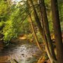 LEEPER, CLARION COUNTY
