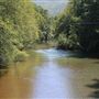 DORNSIFE, NORTHUMBERLAND COUNTY
