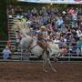 Benton Rodeo