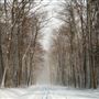 Forbes State Park, Westmoreland County