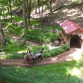PYMATUNING DEER PARK