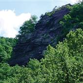 DELAWARE CANAL STATE PARK