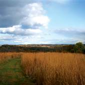 JACOBSBURG STATE PARK/JACOBSBURG ENVIRONMENTAL EDUCATION CENTER