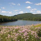 MOUNT PISGAH STATE PARK