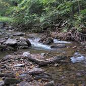 UPPER PINE BOTTOM STATE PARK