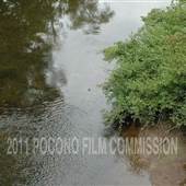 Honesdale River Shore