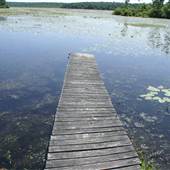 Peck's Pond