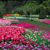 LONGWOOD GARDENS, KENNETT SQUARE