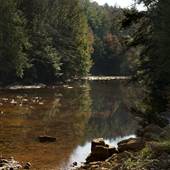 LITTLE TOBY CREEK, ELK COUNTY
