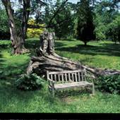 TYLER ARBORETUM, MEDIA