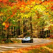 ALLEGHENY NATIONAL FOREST