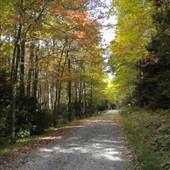 WEISER STATE FOREST