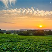 SPRING GROVE, YORK COUNTY