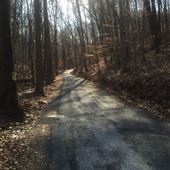 GLEN ALLEN MILL LANDSCAPE VIEWS