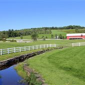 DALLAS, LUZERNE COUNTY