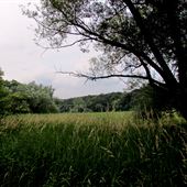 WILDWOOD PARK, HARRISBURG