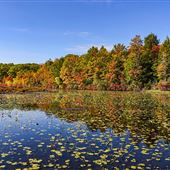 Merli-Sarnoski Park, Lackawanna County