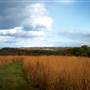 JACOBSBURG STATE PARK/JACOBSBURG ENVIRONMENTAL EDUCATION CENTER