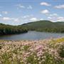 MOUNT PISGAH STATE PARK
