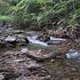 UPPER PINE BOTTOM STATE PARK